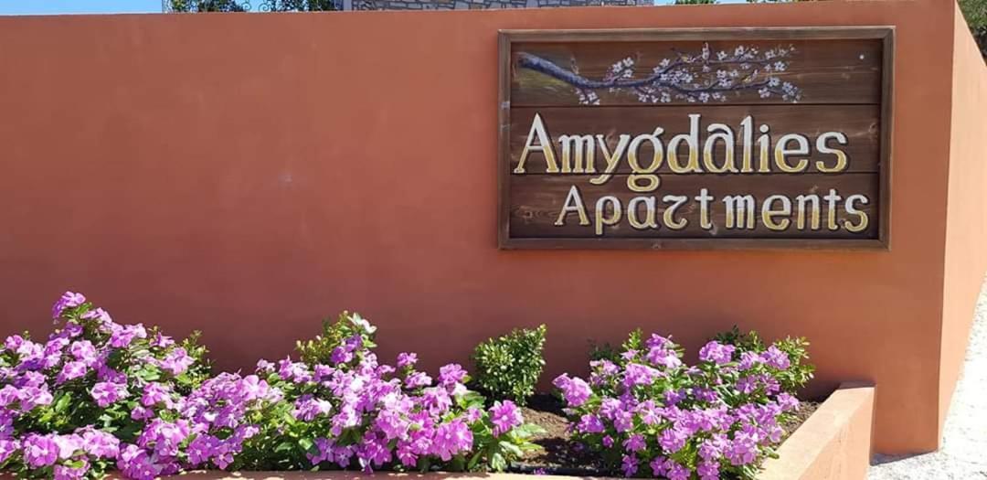 Appartement Amigdalies
